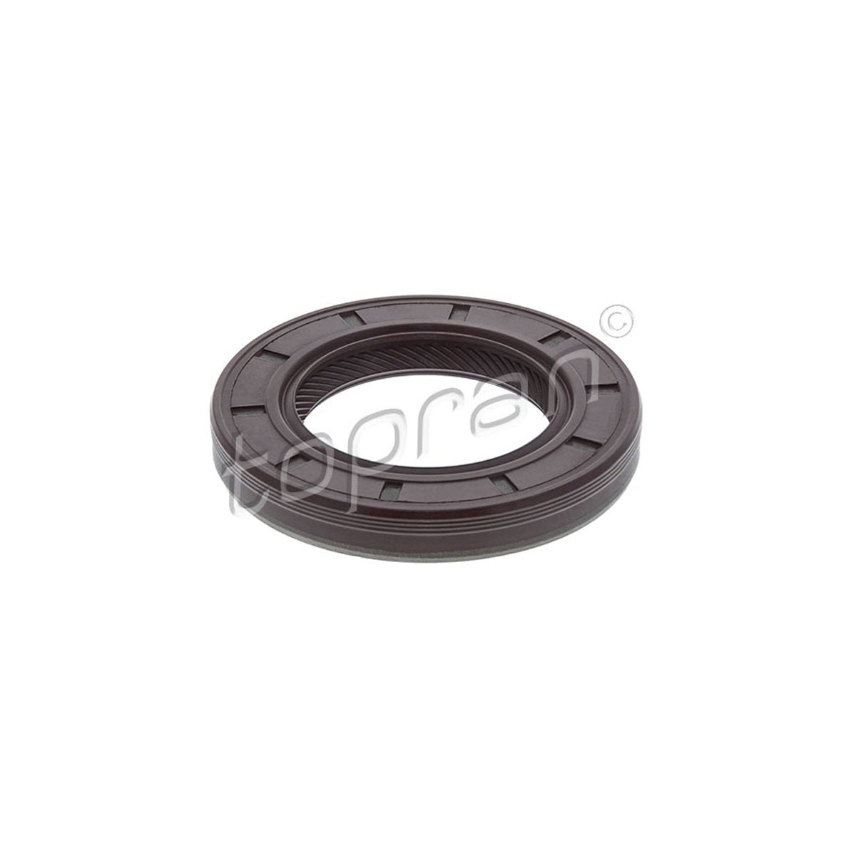 ŞANZIMAN KEÇESİ ÖN E81